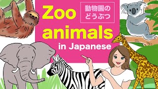 Zoo animals in Japanese 🇯🇵 - どうぶつえん (Doubutsu)🇯🇵 Elephant, Camel, Giraffe, Hippo, Koala, Sloth