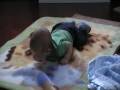 vincent trying to crawl