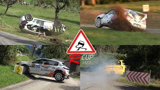 Best of Rallye du Mont Blanc 2024 | Crashes, Mistakes \u0026 difficult corner | by Rcup Vidéo