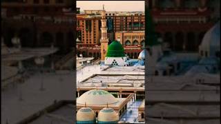 Tadapta Hai ye Dil Mera | Nahi hai koi duniya mein hamara | Waqar Azam Qadri #islamic #viral