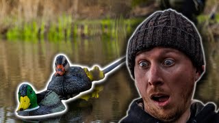 3 CARP IN 5 MINUTES!! | Duck Quacker Baiting Pole (Carp Fishing)