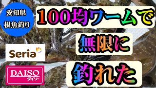 【愛知県根魚釣り】100均ワームで根魚爆釣