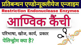 आण्विक कैंची | restriction enzymes | molecular scissors in Hindi | Restriction Endonuclease Enzymes