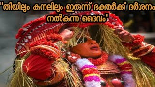 ഉച്ചിട്ട ഭഗവതി | Uchitta Theyyam|Parakkandam Sree Kuttichathan Kavu|Iritty |Kannur