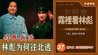 雾里看林彪37集||密谋与选择|林彪为何往北逃？|林豆豆|张清林|林立衡的订婚宴|阴谋与阳谋|叶群|天涯神贴《不被理解的毛泽东(精校版)》第四卷（有声书）