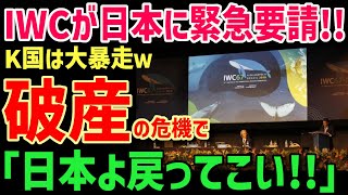 【海外の反応】IWCが今、とんでもないことになっていたｗｗ破産寸前の大ピンチで絶望！間もなく解体！？【グレートJAPANちゃんねる】