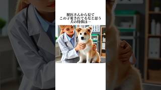 ちょっと犬の秘密が可愛すぎるwww犬の知って損しない秘密5選🤫