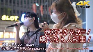 【 驚愕の歌声 】素敵過ぎる歌声！虜になる人続出！　純情 / 家入レオ（cover）\