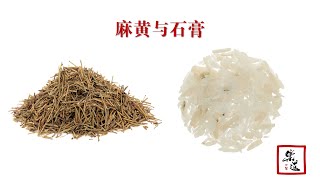 01 麻黄与石膏（朱步先《寒热并用药对串解》）