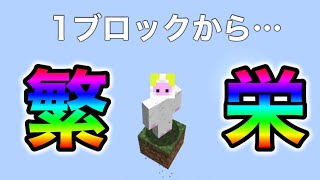 【マイクラ】ワンブロックからエンドラ討伐