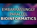 Bioinformatics Parallel Programming - Tutorial (Kmer counting in Python) - HPC