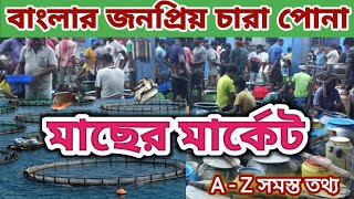 বাংলার জনপ্রিয় চারা মাছের বাজার! Fish seed market