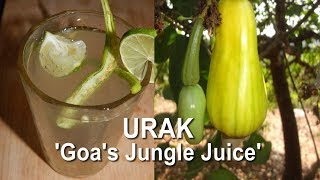 Urrak - Goa's Jungle Juice | Goan Summer Drink | Goan Cocktail | Cooking Addiction Goa.