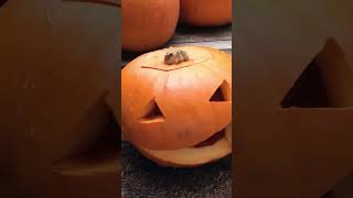 Halloween, pumpkins, decoration and seasons!