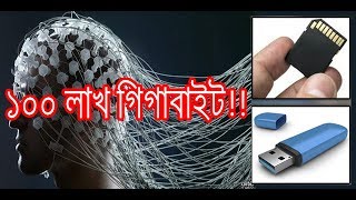 মানুষের মাথায় মেমোরি কত জিবি? জানেন কি?