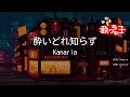 【カラオケ】酔いどれ知らず / Kanaria