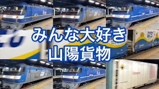 2021.9.17 みんな大好き山陽貨物　ピカピカ115号機や冷凍コンテナ多数1050レ含む5本