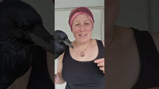 What is the difference between a raven and crow?