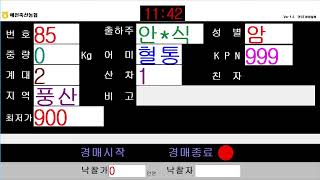 예천축산농협 10월 15일 경매가축시장