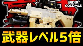 【朗報】ヤバイ、武器レベル上げ5倍((解禁))。【CoD:BOCW】キルレも爆上がり(コツ/解説)