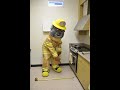 Serving Up Fire Safety With Poki (Tools for Fire Safety)