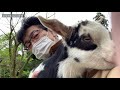 男同士で抱き合うのは嫌なようだ 2021年4月28日 baby goat