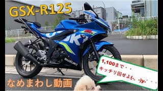 【納車動画】GSX-R125を舐めまわす様に撮っただけの動画 足つきなど