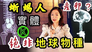 秘魯惊現蜥蜴人實體. 三指? 卵生? 俄羅斯科學家: 絕非地球物種! | K姐探秘