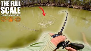 Landbased River Fishing For Murray Cod And Golden Perch | The Full Scale
