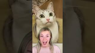 5 FACTS ABOUT CATS YOU DIDN'T KNOW!🐱
