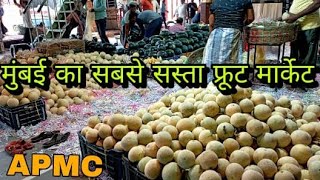 APMC WHOLESALE FRUIT MARKET MUMBAI 2023 UPDATE #cheapestfruitmarket #wholesalemarket  #fruitmarket