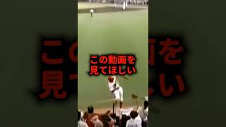 フェンスによじ登りスーパーキャッチ #野球 #スーパープレイ #野球解説