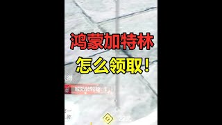 妄想山海：鸿蒙攻城加特林，几秒一个太阳？环锡杖怎么获取 #妄想山海 #妄想山海四周年