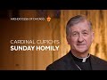 Cardinal Blase Cupich's Homily for December 31st, 2023