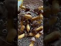 ASMR/POURING MUSHROOM CHOCOLATES IN A PLATTER #shorts #asmr #mushroom #chocolate #viral #satisfying