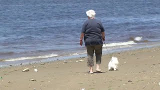 Swimming will return to Crescent Park Beach for first time in 100 years