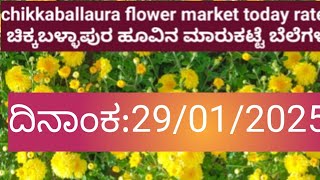 chikkaballapura flower market today rates update/29/01/2025