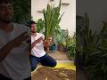 Repotting of snake plant 🪴 #gardeningwithnanav #plants #youtubeshorts