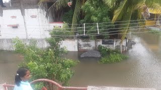 நிவர் புயலுக்கு நிகர் இல்லை/புயலுக்கு முன் புயலுக்கு பின்/nigar cyclone escaped/enga garden eppadi i