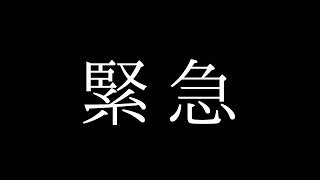 鎌田美礼女流２級の公式戦2局目の相手も私になりました【緊急動画】