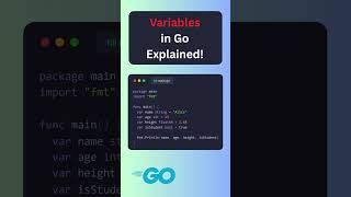 Go Programming Basics: Variables & Data Types Explained