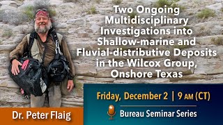 Two ongoing investigations into shallow-marine and fluvial-distributive deposits in the Wilcox Group