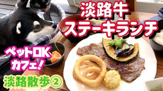 🌟ワンコ同伴OKカフェで淡路牛ステーキ食べよ♪淡路島キャンパスCafeカプチーノ【黒柴小梅×チワシーズー杏子】