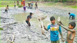 People Catching Traditional Net Fishing By Village Pond । Best Fish Catching Process । Village Life