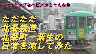 ただただ北条鉄道北条町－粟生の日常を流してみた【祝！行き違い設備完成】法華口旧ホーム停車【ダイヤ改正前】【超日常】