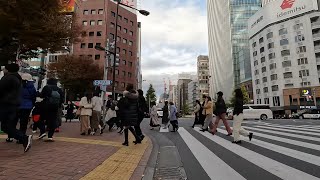 Cycling Tour | 竹芝駅~日本橋駅 | 4K | November 2023