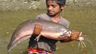 Big 12 Kg Catfish (Magur fish) Catching by hand in the Pond || Warga terkejut Saat Kolam Dikeringkan