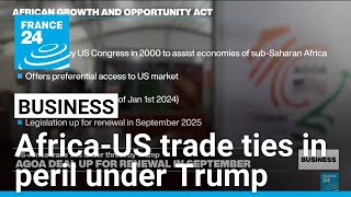 Trump's protectionism looms over Africa-US trade ties • FRANCE 24 English