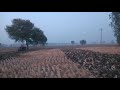 massey 241 with 18 disc harrow🔥🔥 bharat uchana tractorvideos