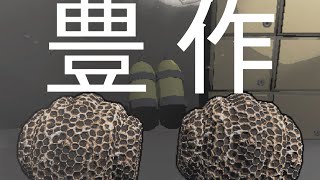 ずんだもんがするリーサルカンパニーpart4#ずんだもん #リーサルカンパニー